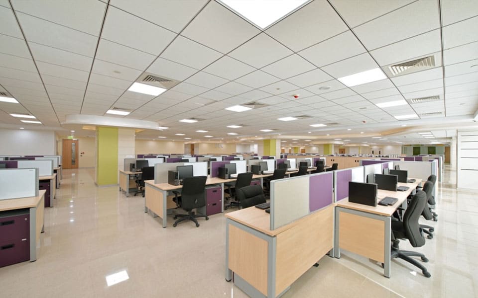 Open-plan workstations with beech laminate tops, purple and grey fabric screens under a mineral-fibre grid ceiling